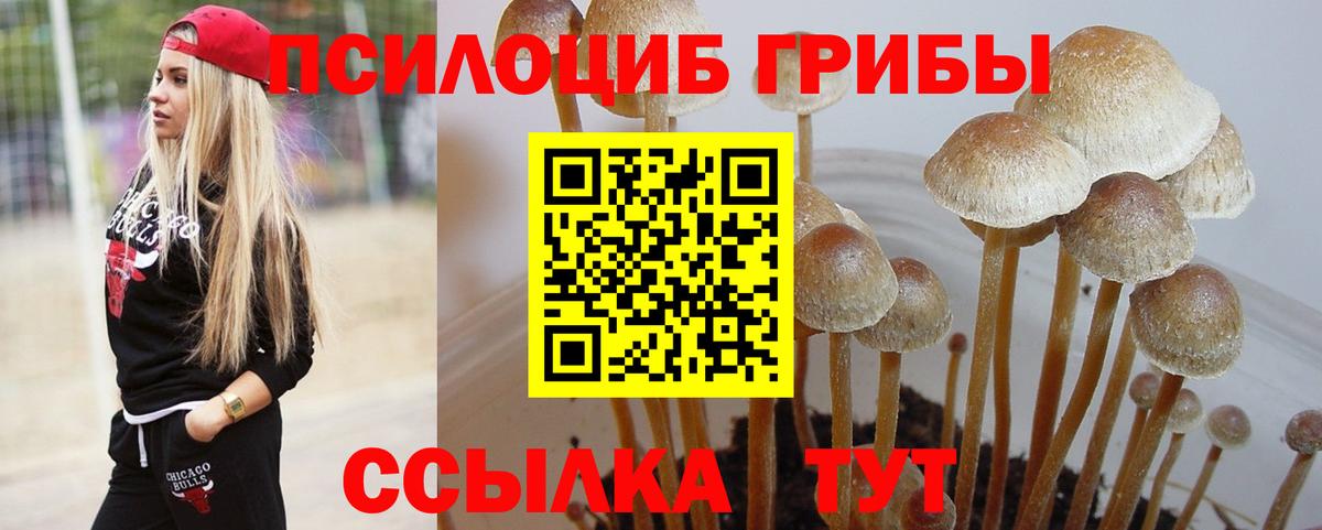 Псилоцибиновые грибы мухоморы Сергиев Посад