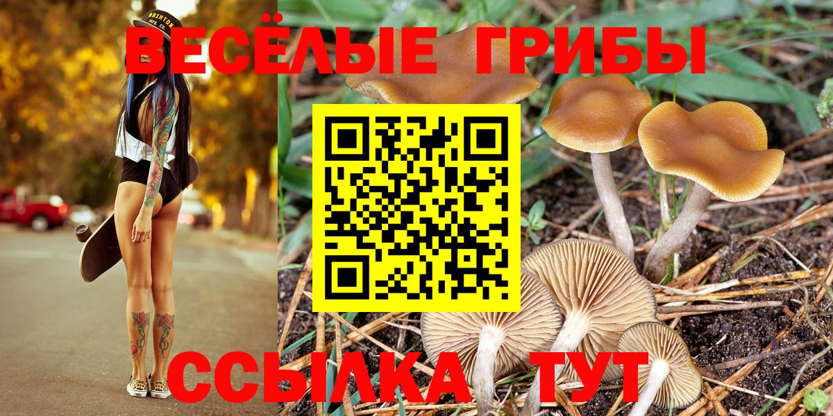 Галлюциногенные грибы мухоморы  Вход с VPN  Псилоцибиновые грибы Magic Shrooms  Сергиев Посад 